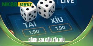 cách soi cầu tài xỉu