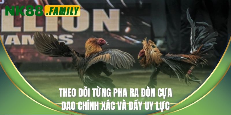 Theo dõi từng pha ra đòn cựa dao chính xác và đầy uy lực